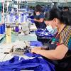 Knit tops sewing machine operator